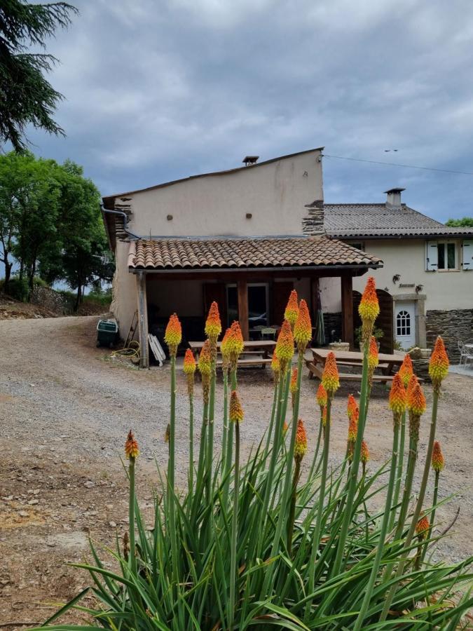 L'Oeil De Carcassonne Villa Caudebronde Eksteriør bilde